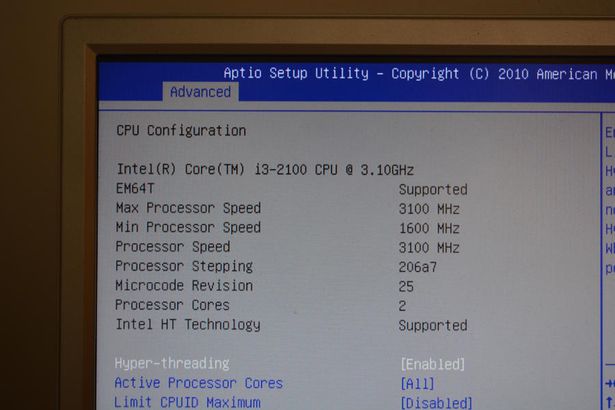 Ansicht BIOS