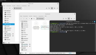 Ansicht Dekstop Mint mit Terminal
