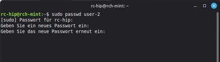 Ansicht Terminal Nutzung Command "passwd"