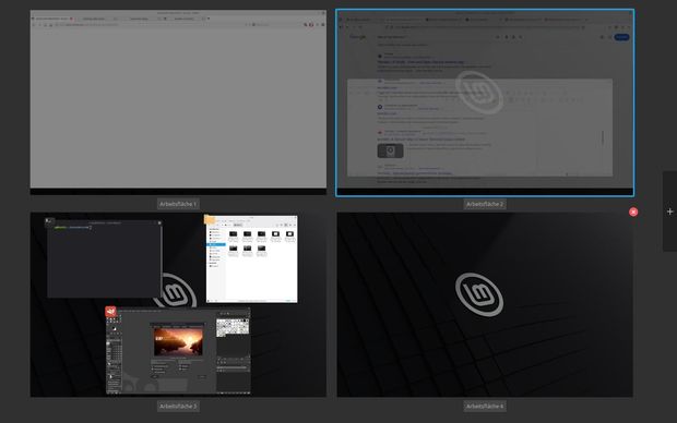 Ansicht Linux Mint Auswahlfenster Arbeitsflächen