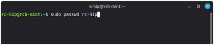Ansicht Terminal Nutzung "sudo passwd" plus Benutzername
