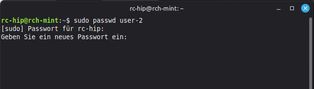 Ansicht Terminal Nutzung Command "passwd"
